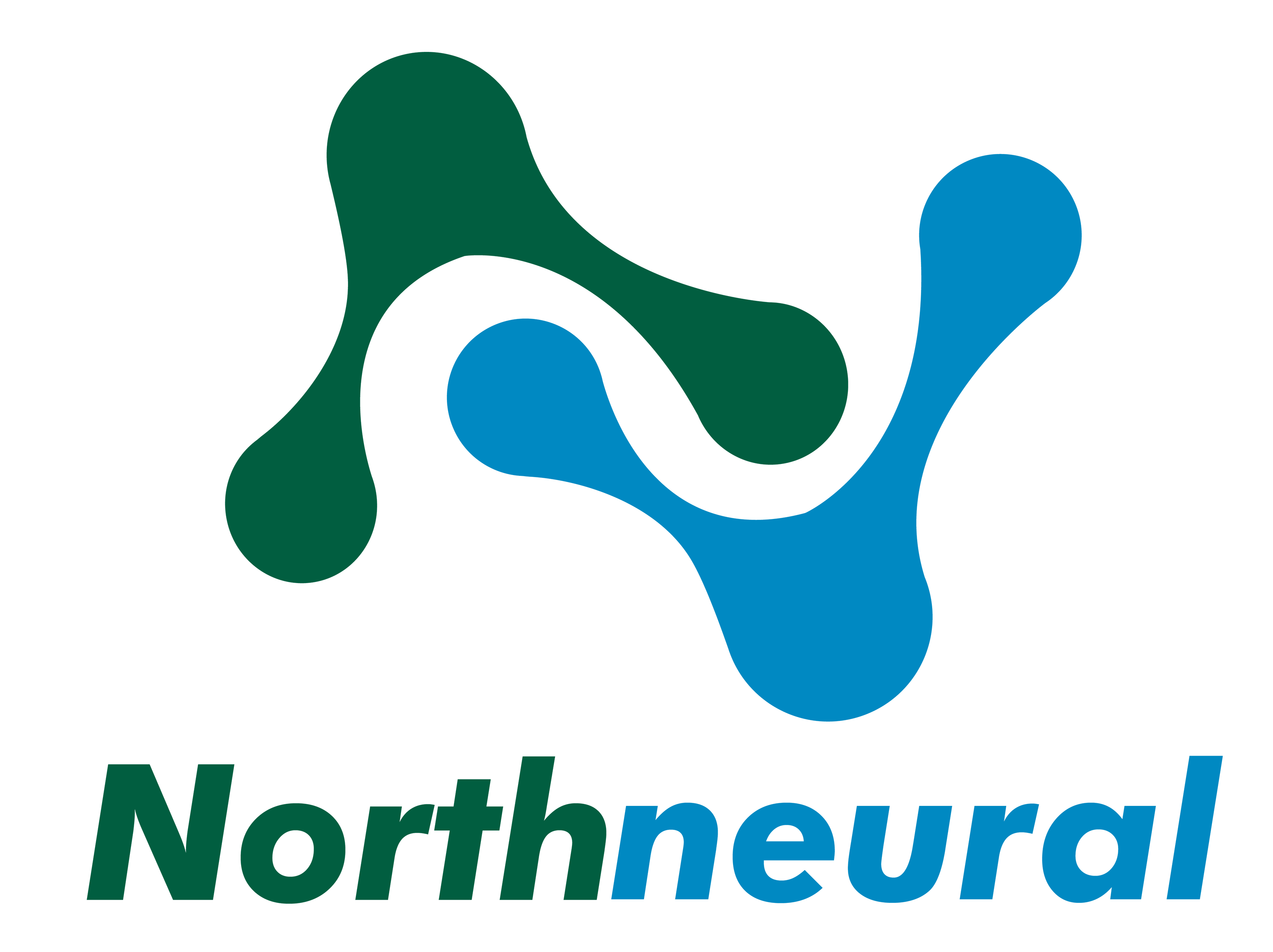 The Gilgit Baltistan first Data science and AI Company is Norhtneural